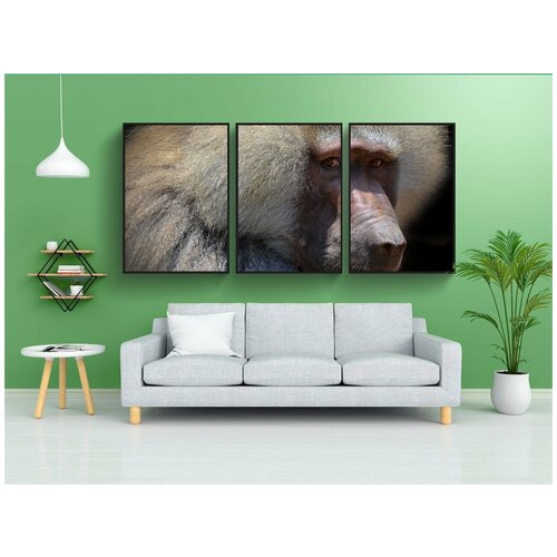фото Набор модулных постеров для интерьера "бабуин, портрет, лицо" 60x90 см. в тубусе, без рамки lotsprints