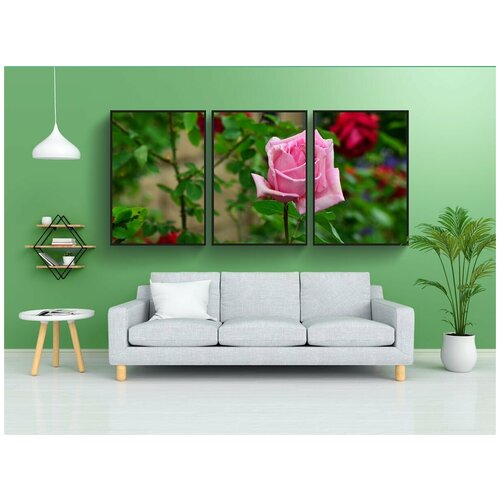 фото Набор модулных постеров для интерьера "розы, розовый, розовый цветок" 60x90 см. в тубусе, без рамки lotsprints
