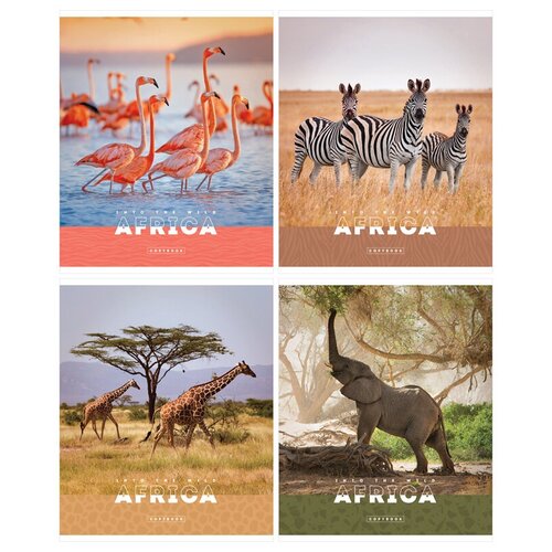 ArtSpace Упаковка тетрадей Животные. Nature of Africa Т96кЭ_36448 5 шт., клетка, 96 л., 5 шт., Рисунок