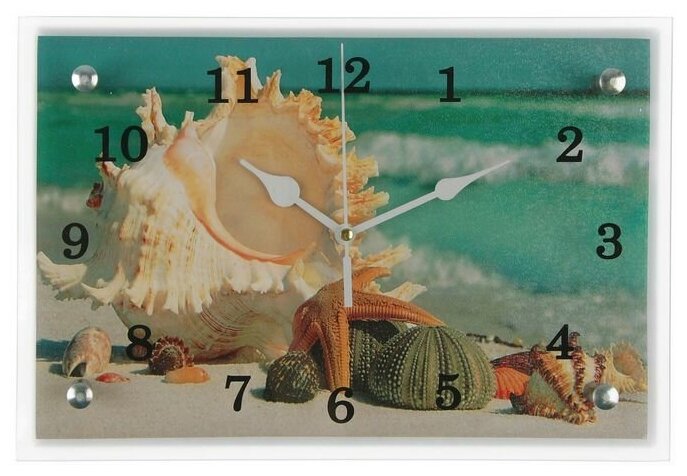 Часы-картина настенные, серия: Море, "Ракушки", 30х20 см 1033249