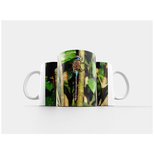 фото Кружка "стрекоза, животные, насекомое" 320 мл lotsprints
