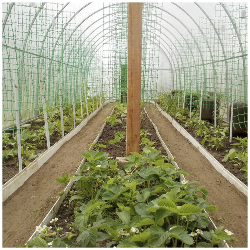 Шпалерная сетка для огурцов и вьющихся растений "Interlok" (размер 2 м х 10 м) - фотография № 3