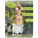 Автопарфюм Лес после дождя AROMAKO, ароматизатор для автомобиля 10 мл - изображение