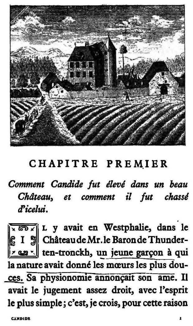 Candide: ou, L'optimiste (Voltaire) - фото №4