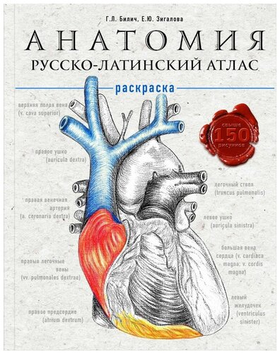 Анатомия: русско-латинский атлас-раскраска — купить в интернет-магазине ...