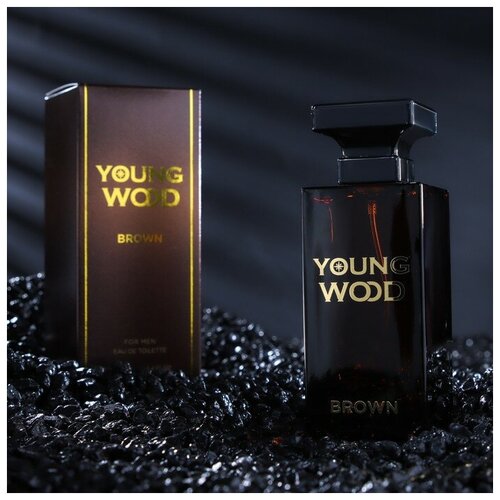 Young Wood Туалетная вода мужская Young Wood 