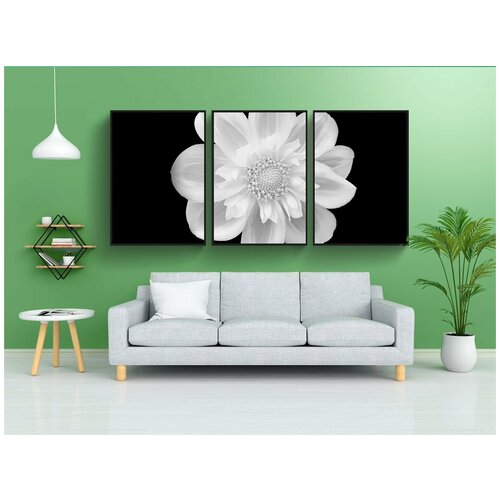 фото Набор модулных постеров для интерьера "цветок, цветы, чернить" 60x90 см. в тубусе, без рамки lotsprints