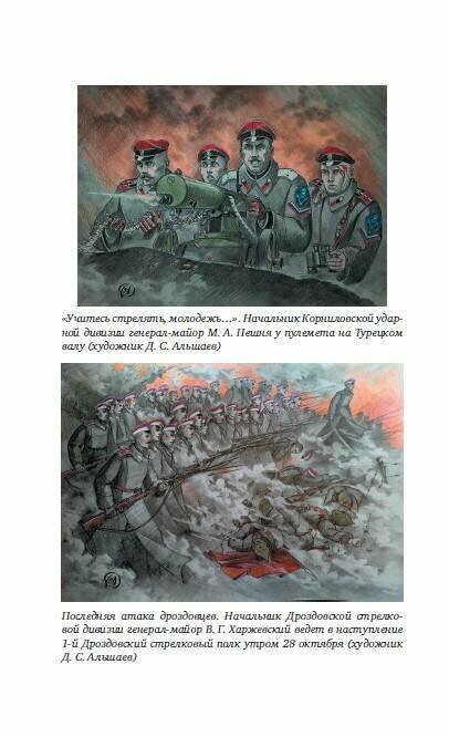 Последняя битва Белого Юга (Цветков Василий Жанович) - фото №4