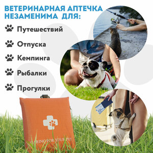 Дорожная аптечка для собаки: краткое руководство и необходимые принадлежности
