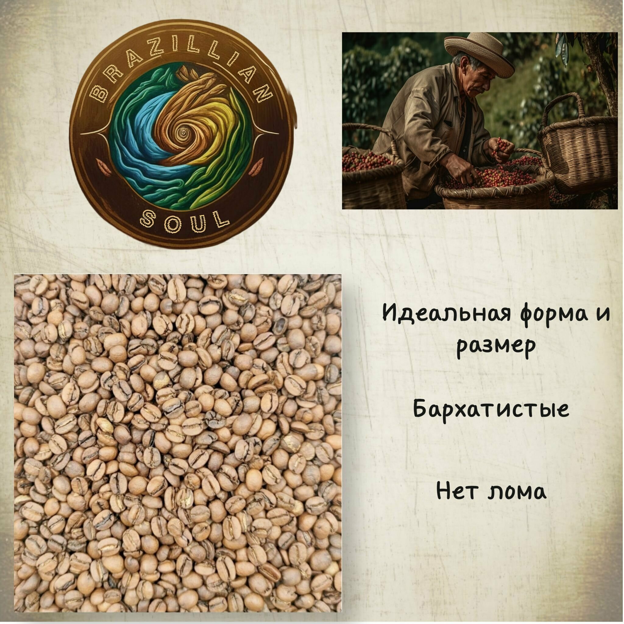 Кофе в зернах натуральный обжаренный 500 гр 100% ARABICA Sul De Minas - фотография № 3