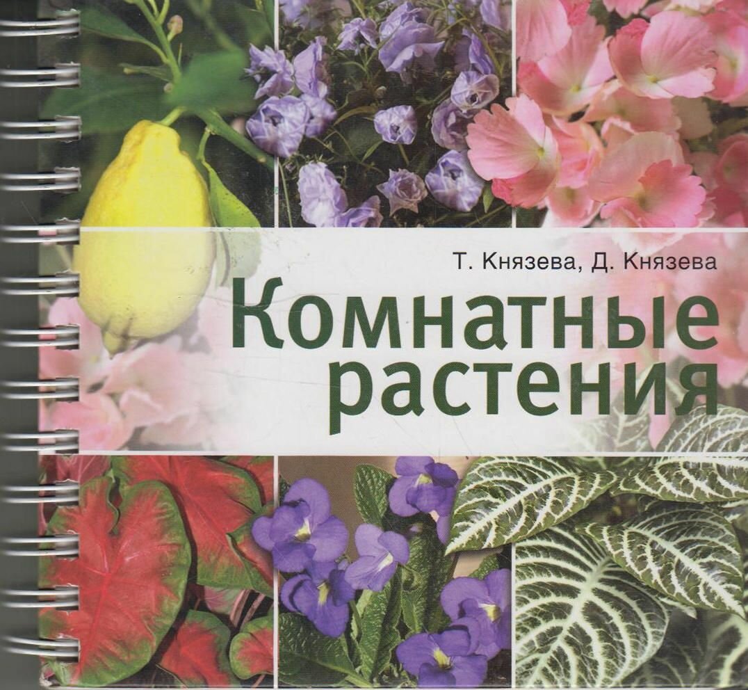Комнатные растения (Князева Татьяна Петровна, Князева Дарья Викторовна) - фото №1