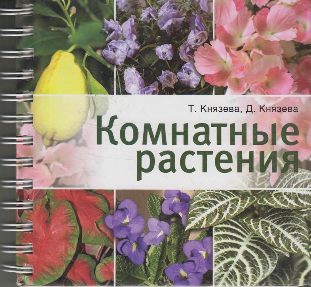 Книга: Комнатные растения / Князева Т. П, Князева Д. В.