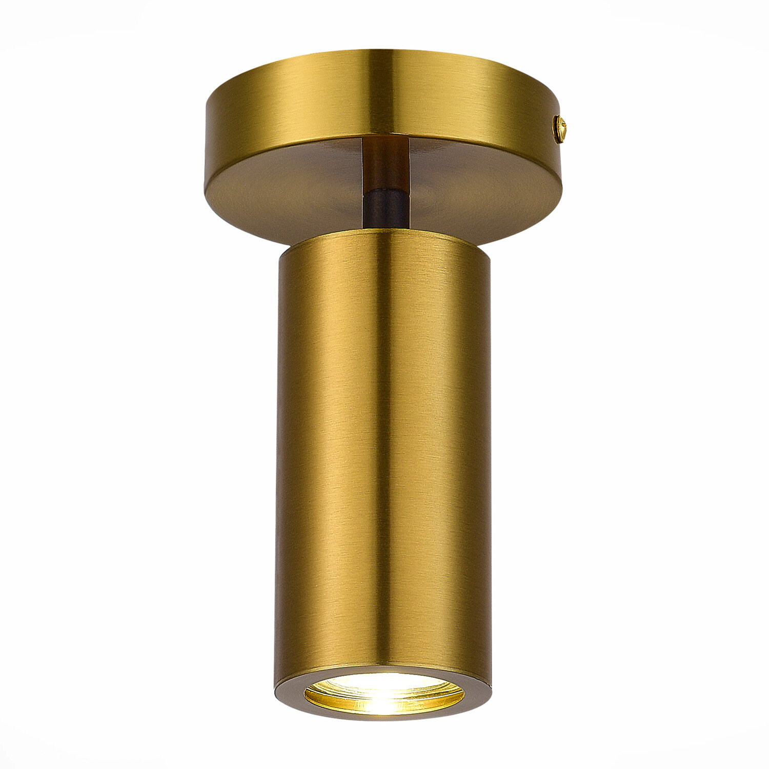 фото Потолочный светильник ST Luce TALIA SL1215.402.01