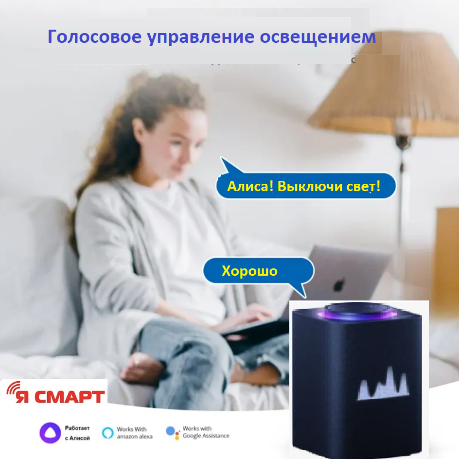 Умный WiFi микромодуль реле 10A двухканальный Ya-S10-2 — фото 1