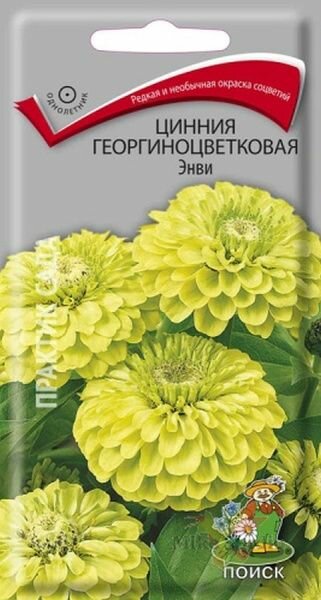 Цинния георгиноцветковая Энви 580906