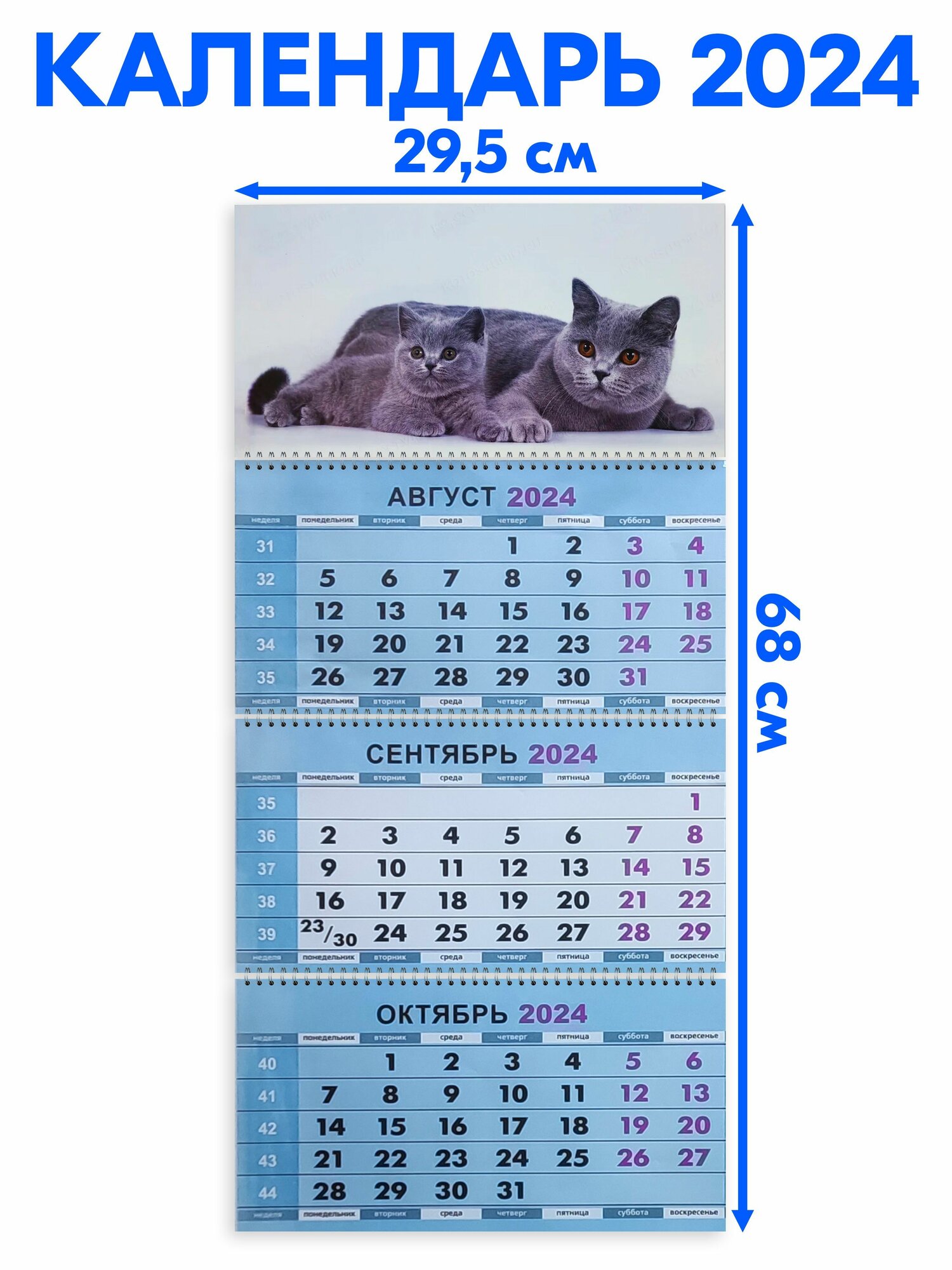 Календарь квартальный трехблочный 2024 год Два Британца. Длина календаря в развёрнутом виде - 68 см, ширина - 29,5 см.