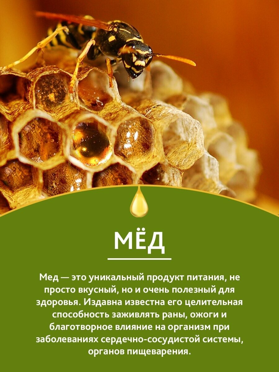 Антисептические Настойки Подморин настойка (пчелиный) при эндометриозе, кистах яичника и мастопатии, противовирусное средство