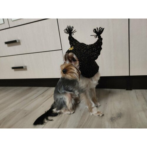 Шапка для собаки 