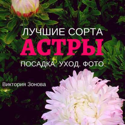 Астры. Лучшие сорта [Аудиокнига]