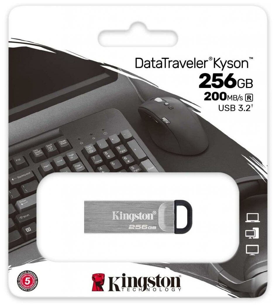 Usb flash Kingston 256Gb DataTraveler