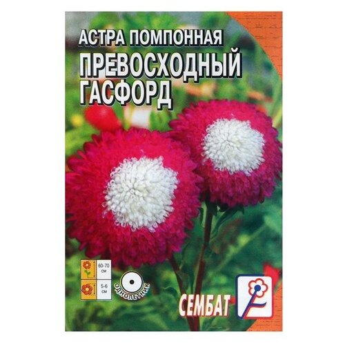 Семена цветов Астра помпонная Превосходный Гасфорд, 0.1 г