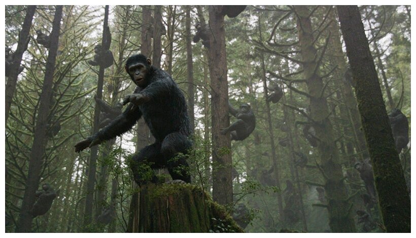 Планета обезьян: Восстание / Революция Blu-ray 20th Century Fox - фото №10