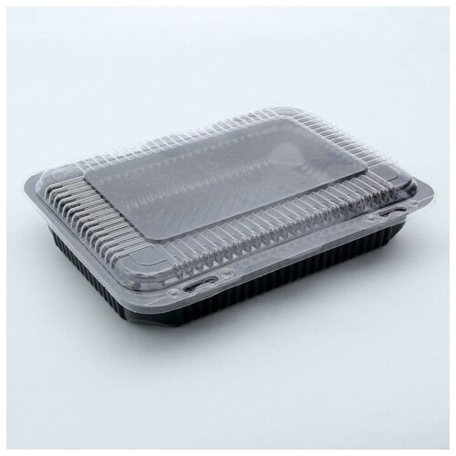 Контейнер с крышкой одноразовый Коррекс, 24.4×19.3×5.3 см, внутренние размеры 22×15.2×4.3 см, 1.74 л, цвет чёрный