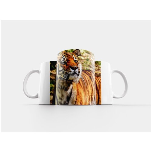 фото Кружка "тигр, хищник, шерсть" 320 мл lotsprints