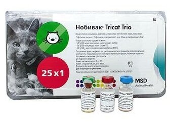 Нобивак для кошек (Tricat Trio, Rabies, Ducat): особенности и схемы вакцинации