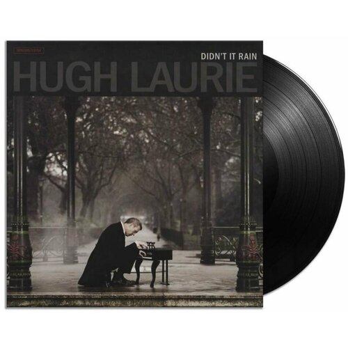 Виниловая пластинка Hugh Laurie - Didn't It Rain VINYL180 gram. 2 LP