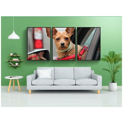 фото Набор модулных постеров для интерьера "собака, маленькая собака, окно машины" 60x90 см. в тубусе, без рамки lotsprints