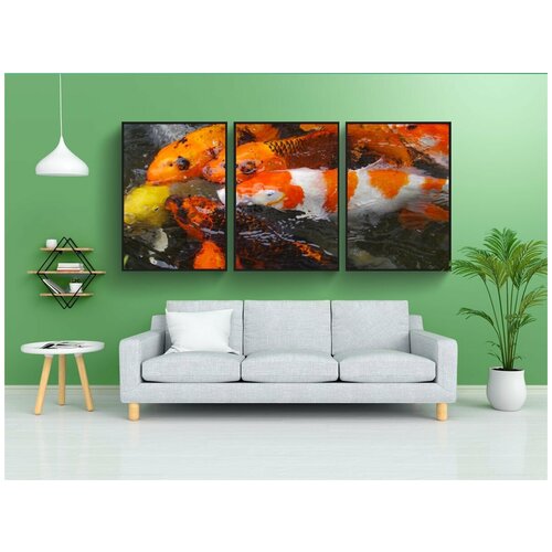 фото Набор модулных постеров для интерьера "аквариумные рыбки, nishikigoi, рыбы" 60x90 см. в тубусе, без рамки lotsprints