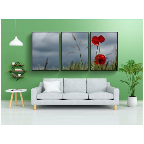 фото Набор модулных постеров для интерьера "маки, небо, природа" 60x90 см. в тубусе, без рамки lotsprints