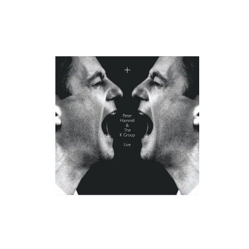 Виниловые пластинки, MADFISH, PETER HAMMILL - + (2LP) виниловые пластинки madfish peter hammill the margin 2lp