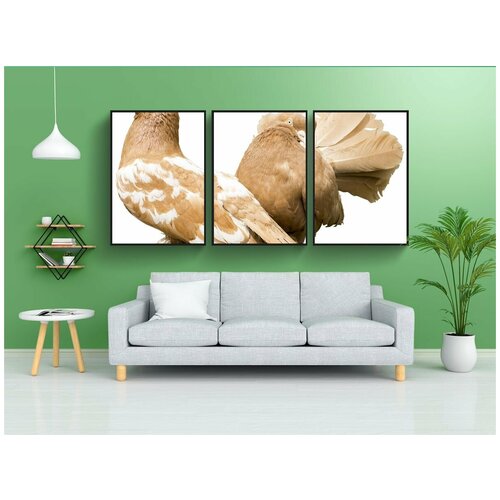 фото Набор модулных постеров для интерьера "голуби, голуби без фона, пара голубей" 60x90 см. в тубусе, без рамки lotsprints