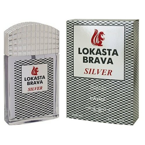Positive Parfum men (alain Aregon) Lokasta Brava - Silver Туалетная вода 100 мл.