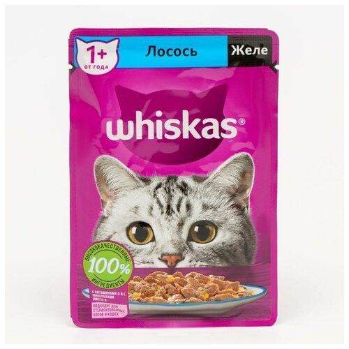 Влажный корм Whiskas для кошек, с лососем, желе 75 г (14 шт)