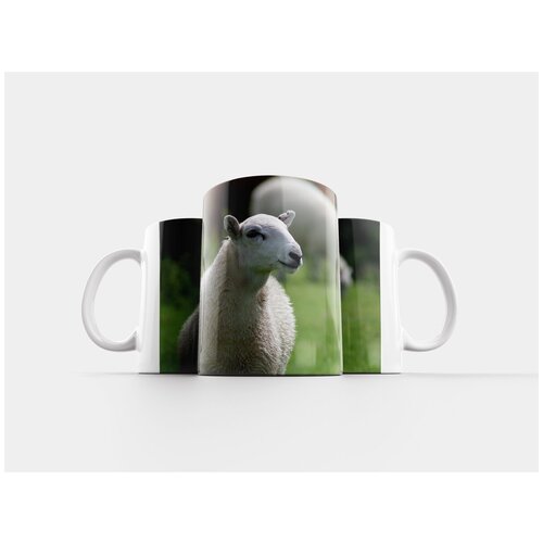 фото Кружка "овец, овца, шерсть" 320 мл lotsprints