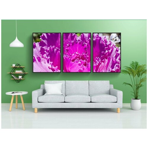 фото Набор модулных постеров для интерьера "декоративная капуста, brassica oleracea, капустная семья" 60x90 см. в тубусе, без рамки lotsprints