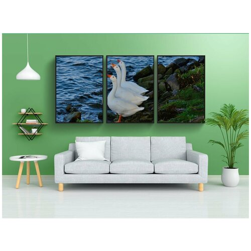 фото Набор модулных постеров для интерьера "белые снежные гуси, трио, птицы" 60x90 см. в тубусе, без рамки lotsprints