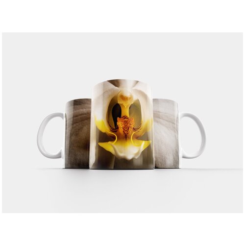 фото Кружка "орхидея, фаленопсис, белый" 320 мл lotsprints