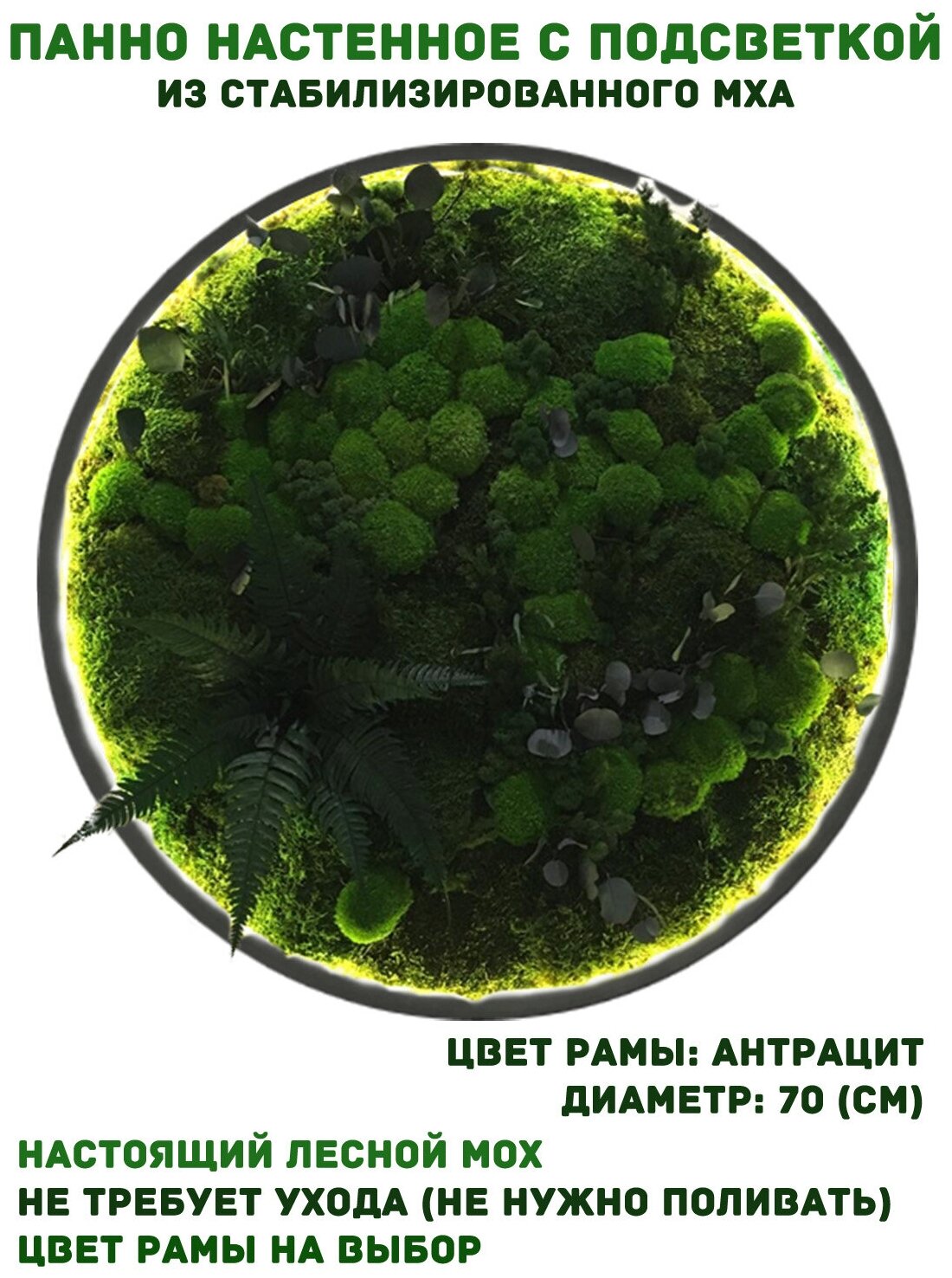 Круглое панно из стабилизированно мха GardenGo с подсветкой в рамке цвета антрацит диаметр 70 см, цвет мха зеленый