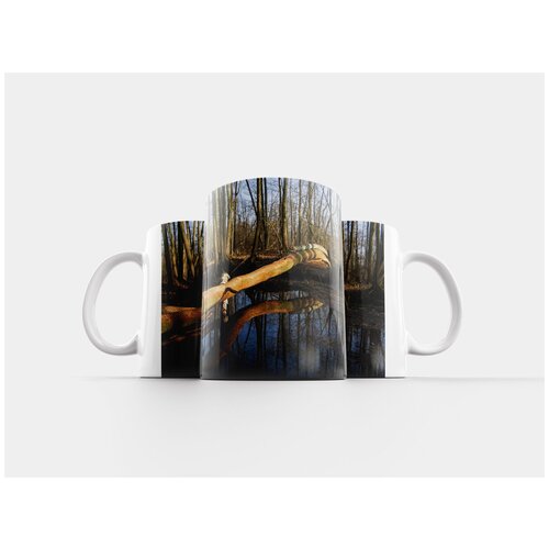 фото Кружка "болото, лес, вода" 320 мл lotsprints