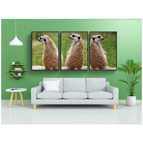 фото Набор модулных постеров для интерьера "животные, три, природа" 60x90 см. в тубусе, без рамки lotsprints