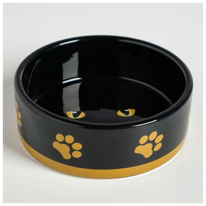 фото Миска керамическая "Черный кот" 300 мл, оранжевая 2324210