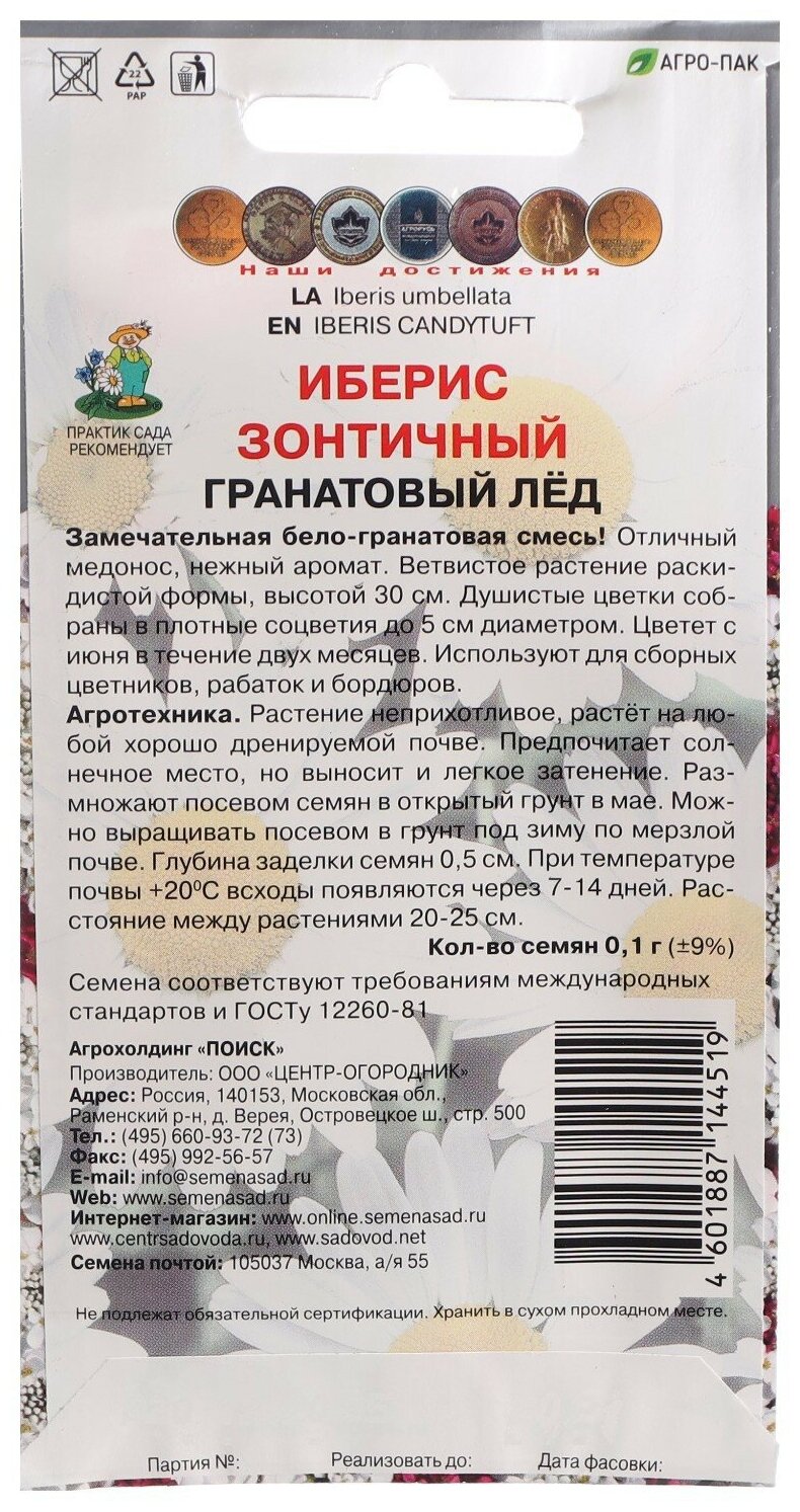 Иберис зонтичный Гранатовый лёд — фото 1