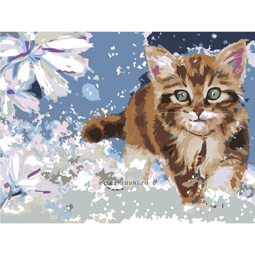 Котенок Раскраска по номерам на холсте Живопись по номерам котенок и цветы раскраска картина по номерам на холсте 30х40