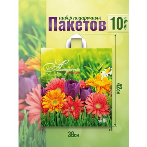 Подарочный полиэтиленовый пакет плотный с ручками 10 шт