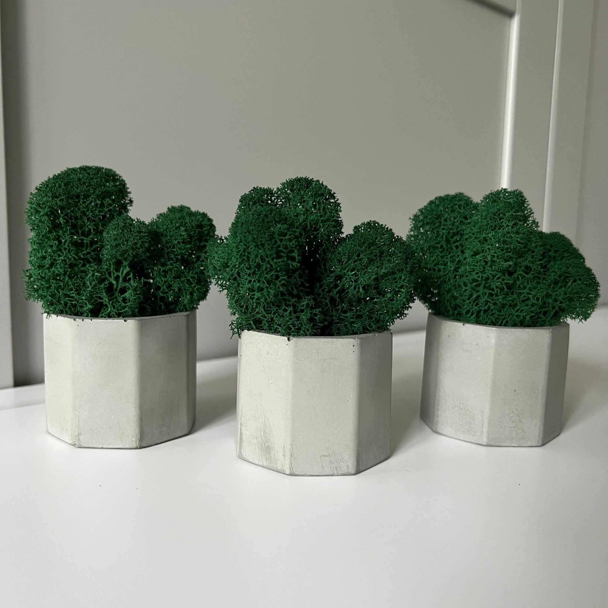 фото Кашпо со мхом, натуральный стабилизированный мох, украшение для дома, интерьерное кашпо из бетона 3 шт, для декора интерьера, цвет серый