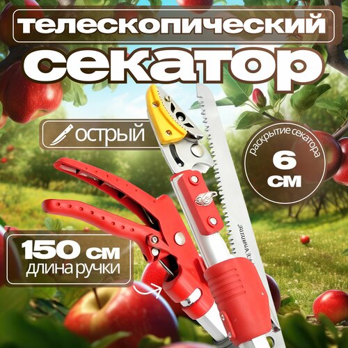 Секатор телескопический для деревьев, до 1,5 м , в сборе 1,1 см